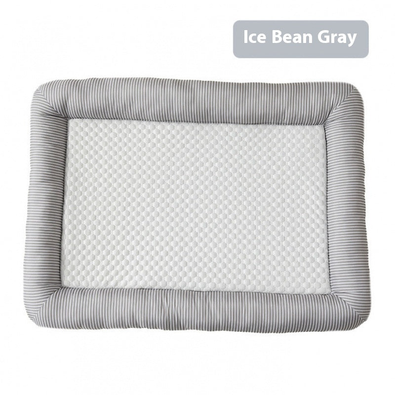 Chien de soie de glace de chat cool