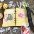 Signets de fleur séchée culturelle et créative Matériaux de bricolage faits à la main Fleurs pressées Transpa
