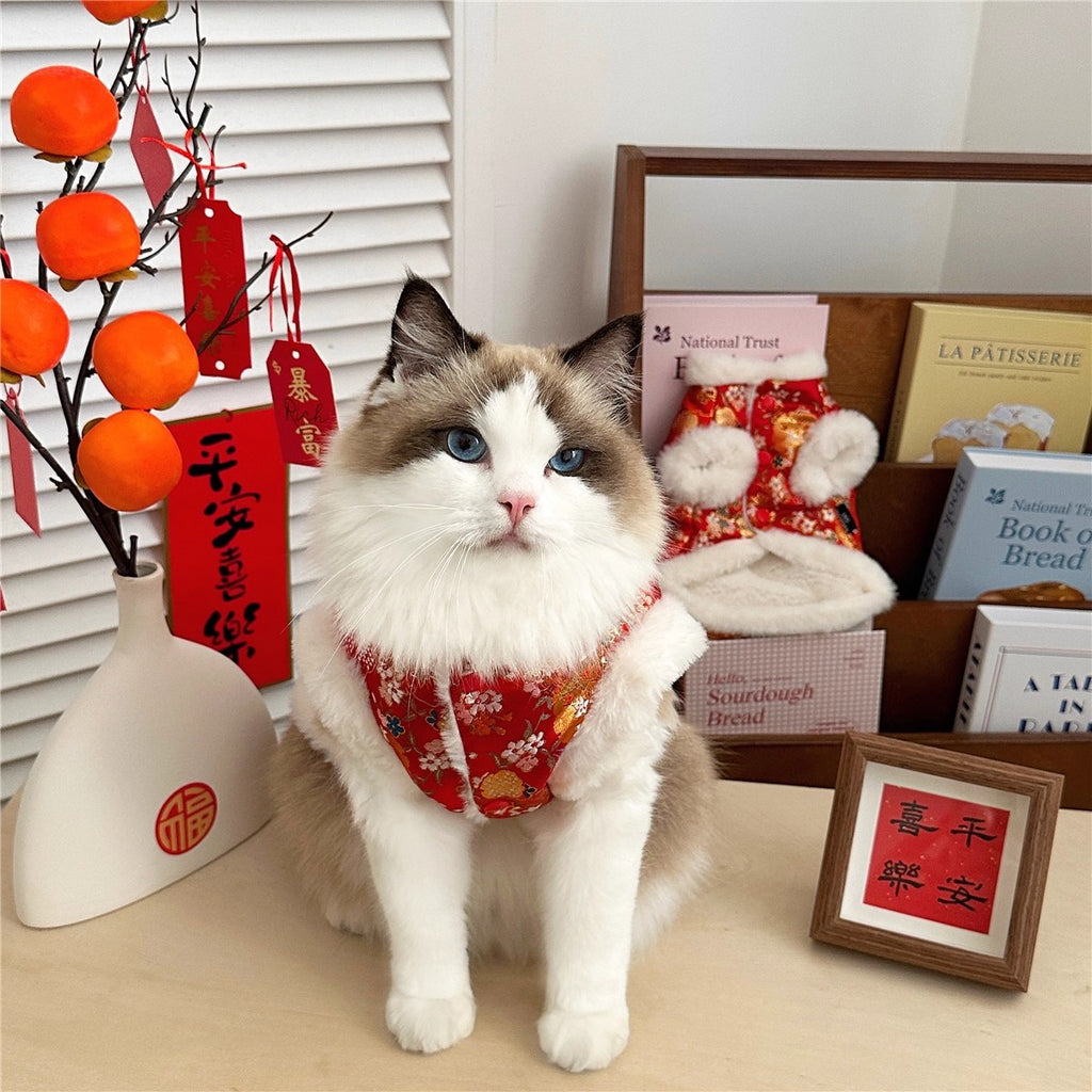 Sous-vêtements Ragdoll Maillot de chaton à l'ombre d'argent