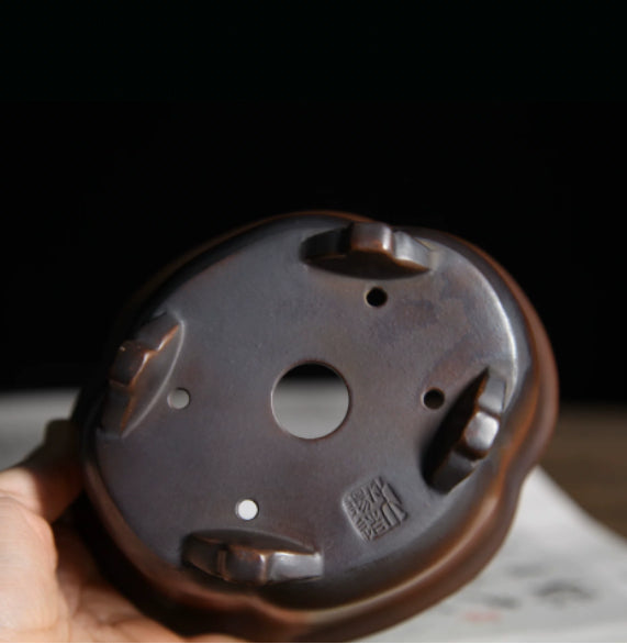 Penke Ceramics Premium Clay Pots de bureau Thé et Bonsai