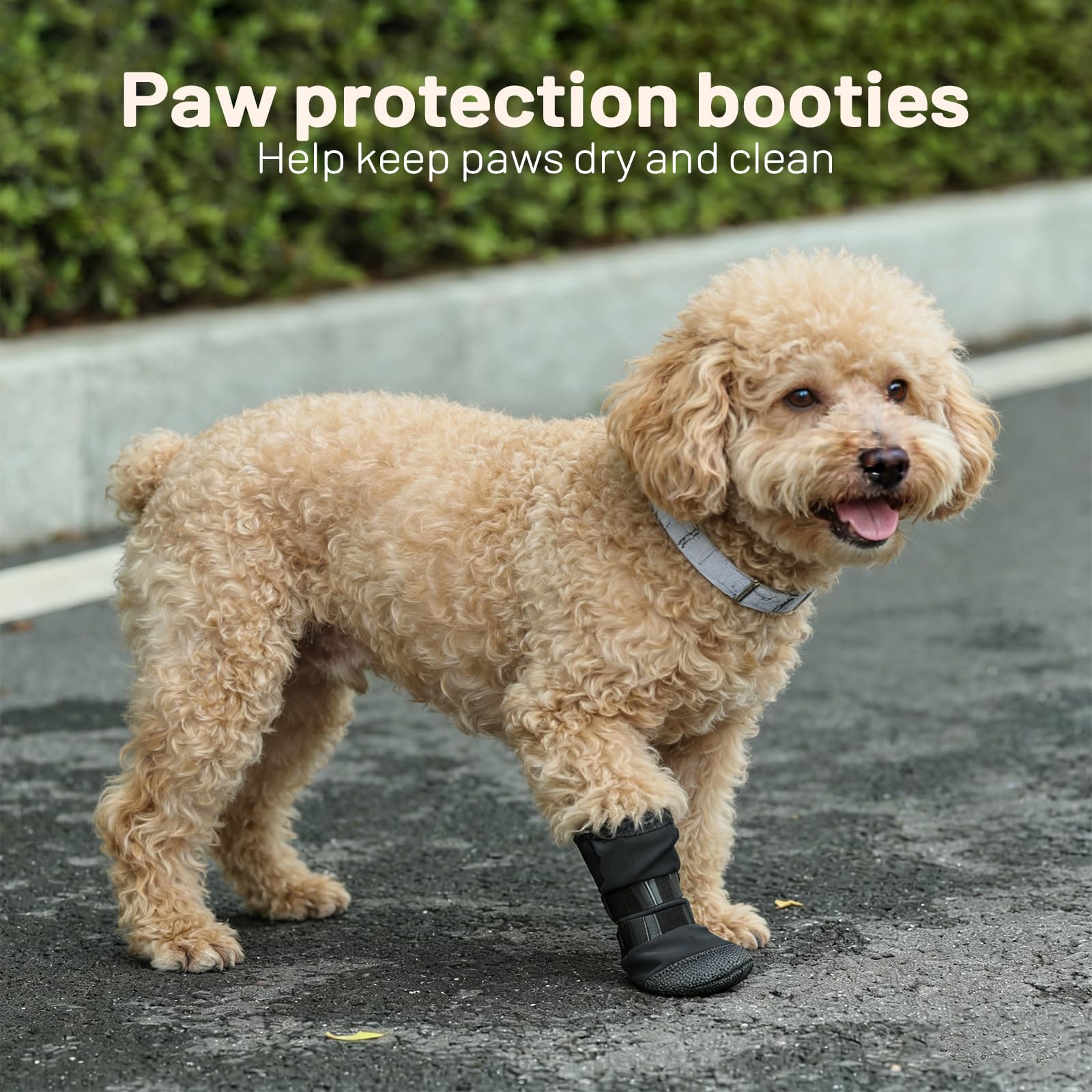 Botte de récupération de chien pour les pattes blessées - Chaussures de chien respirant avec semelle antidérapante et auto-adhesi