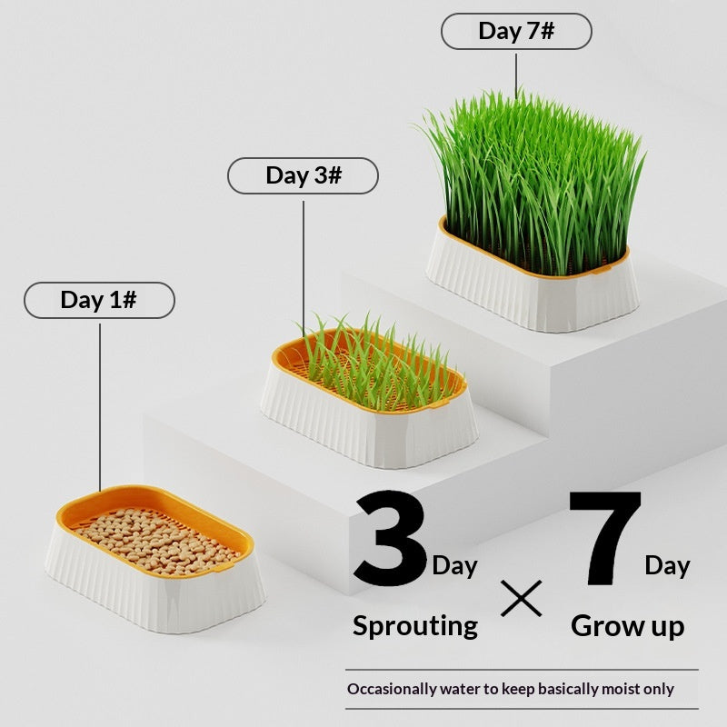 Hydroponic Cat Grass Box Natural Hairball Relief Catnip