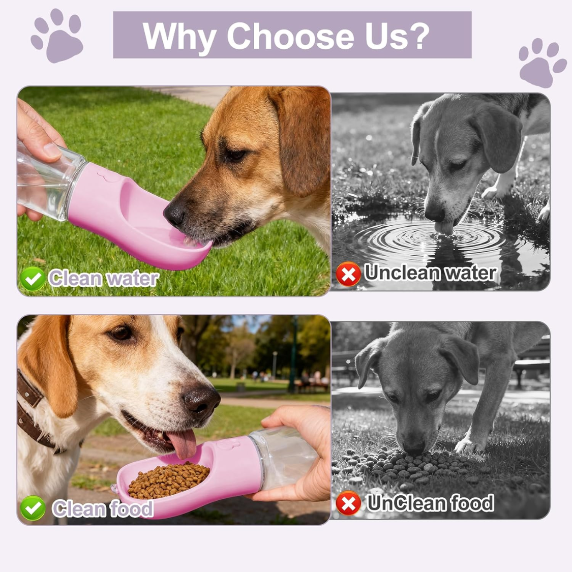 Gourde pour chien 2 en 1 avec compartiment à croquettes