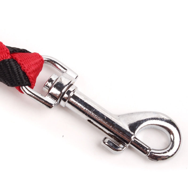 Tresse ronde tressée Pet laisse avec un à deux design pour marcher deux chiens