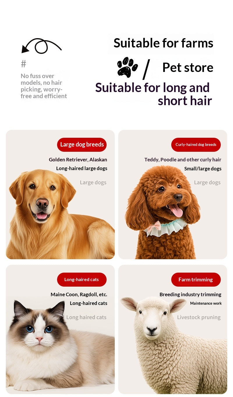 Clipper professionnel haute puissance à faible bruit pour animaux avec affichage de batterie