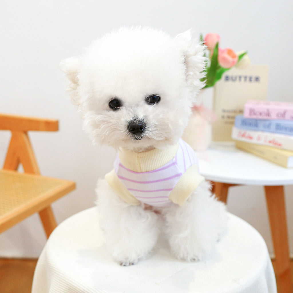 Veste de traction de vêtements chien