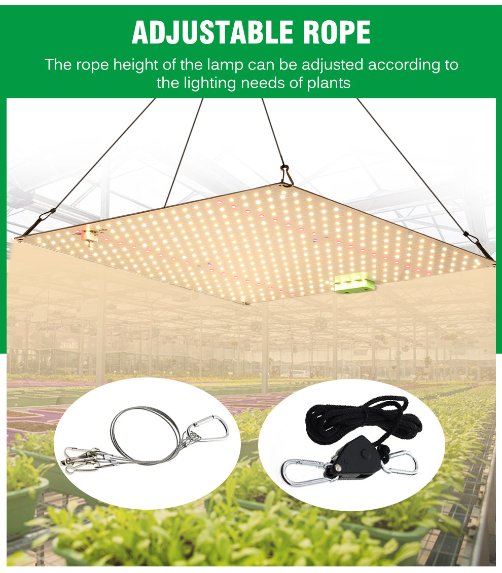 120W Quantum Board Plant Grow Light