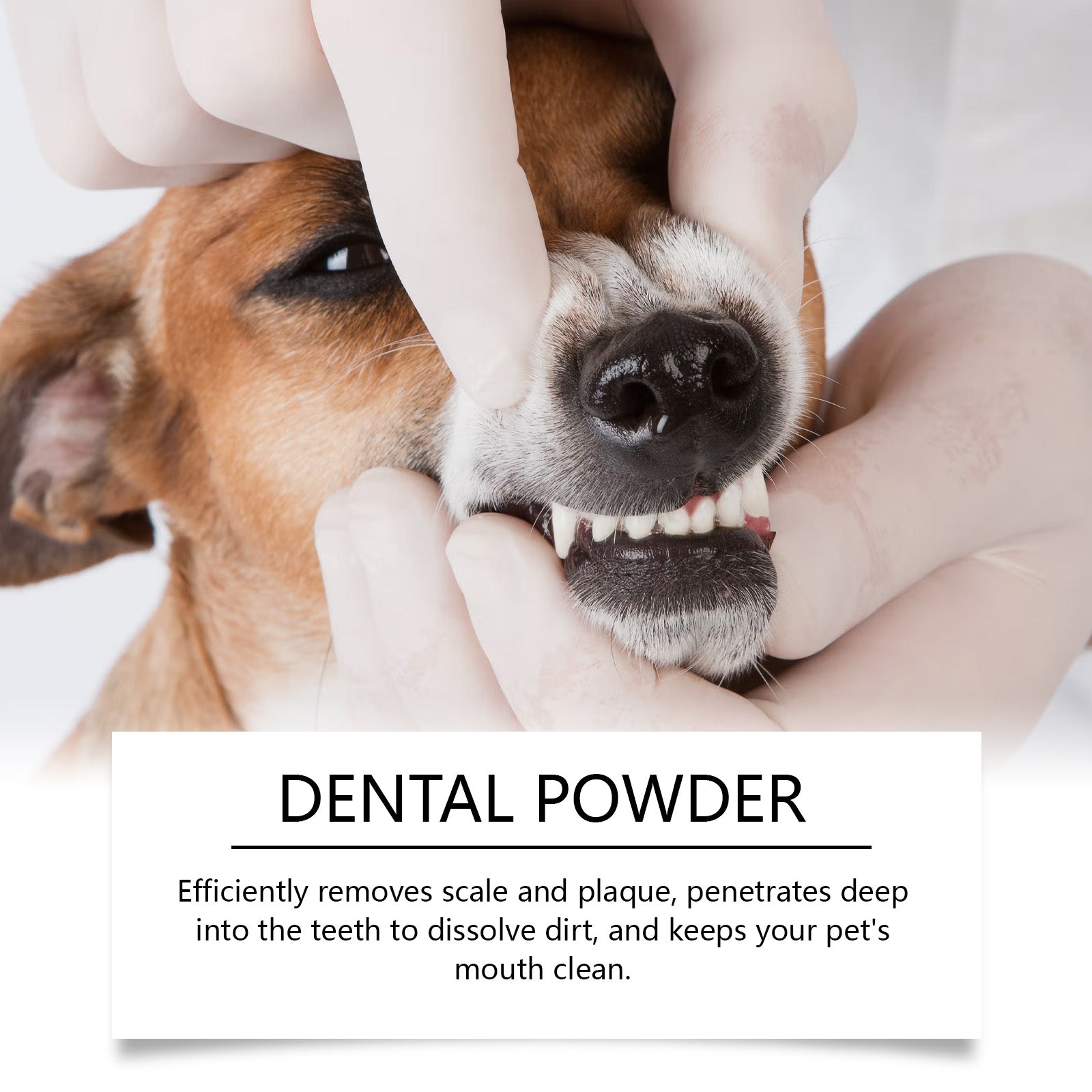 Poudre de nettoyage des dents de chat et de chien