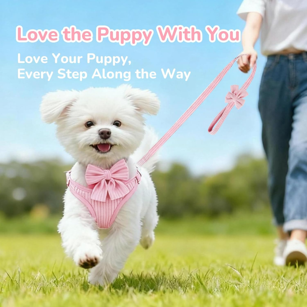 Small dog harness and leash set
