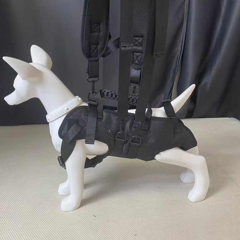 Pet Chest Bag Cyclisme Sac à dos Vélo Riding Dog Walking Harness Grand Chien Riding Respirant