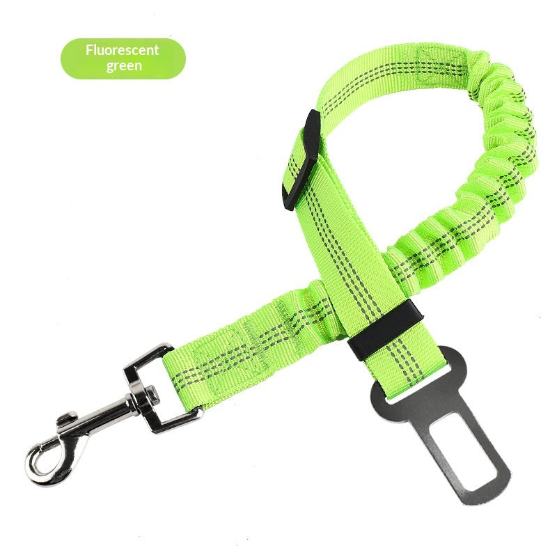 Étendable et rétractable en absorption des chocs Pet Leash