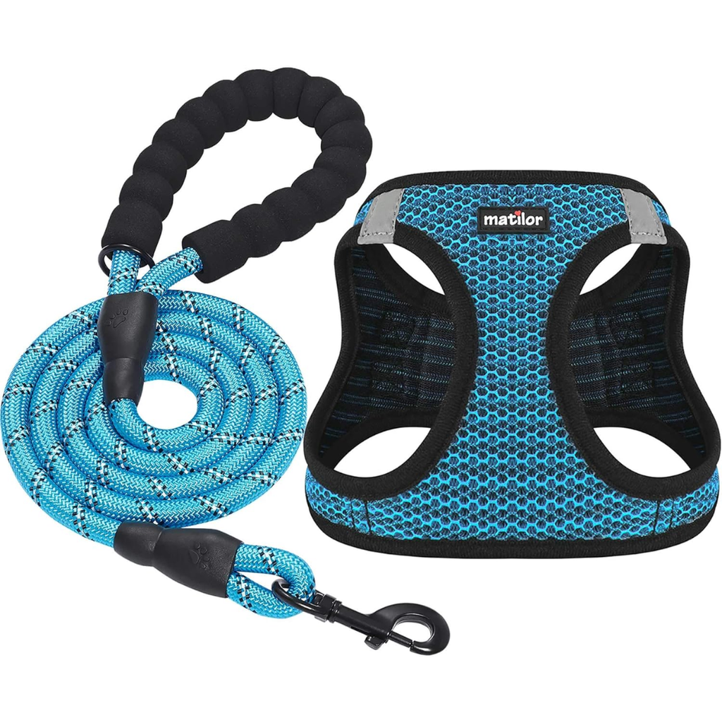 Harnais pour chiens de chat respirants pour petits chiens moyens