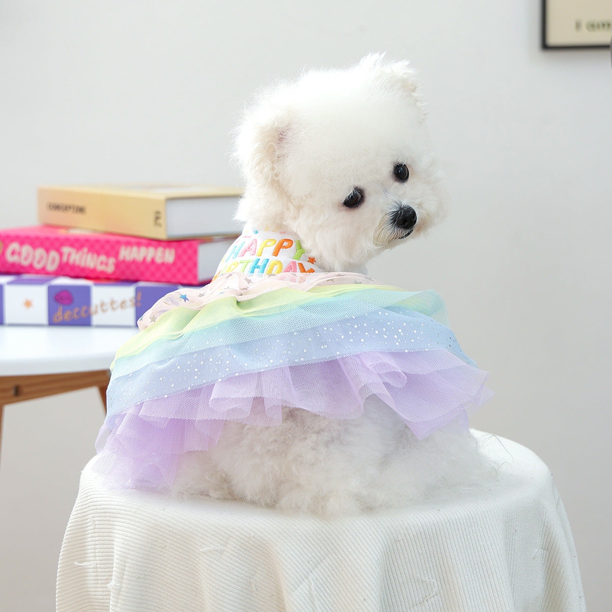 Robe Tutu pour petit chien
