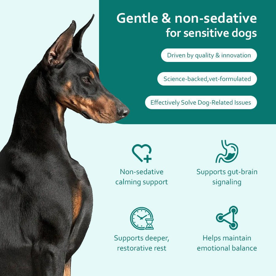 Nourriture pour chiens d'élevage d'animaux 180g
