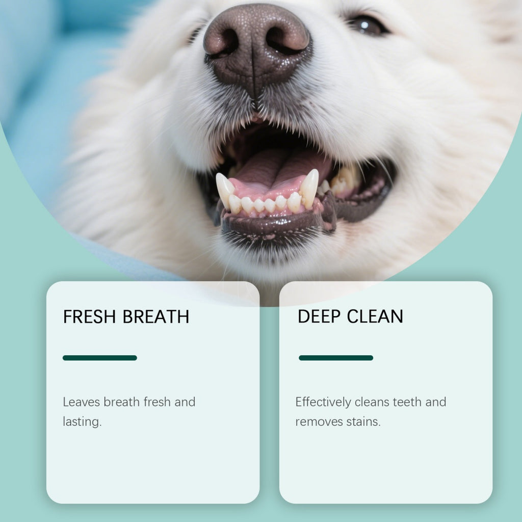 Poudre de nettoyage de dents de chien