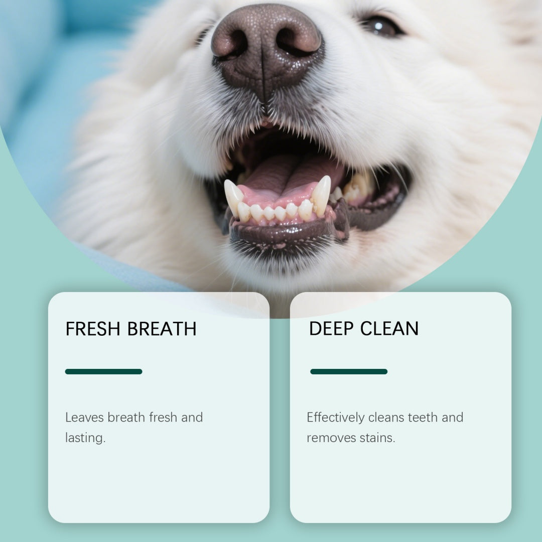 Poudre de nettoyage de dents de chien