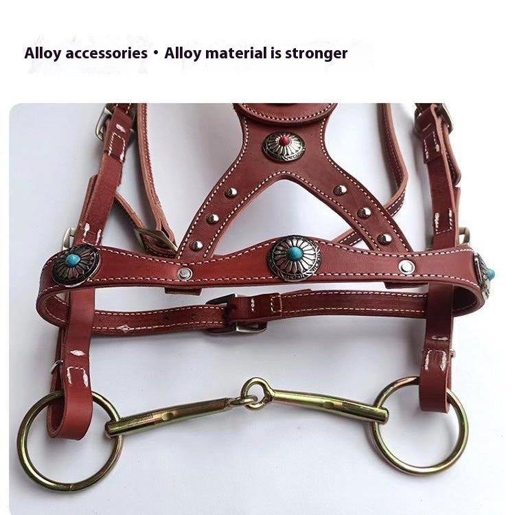 Cheval Halter Pure Cowhide Équipement Dragon Couverture métal Buckle Élégant