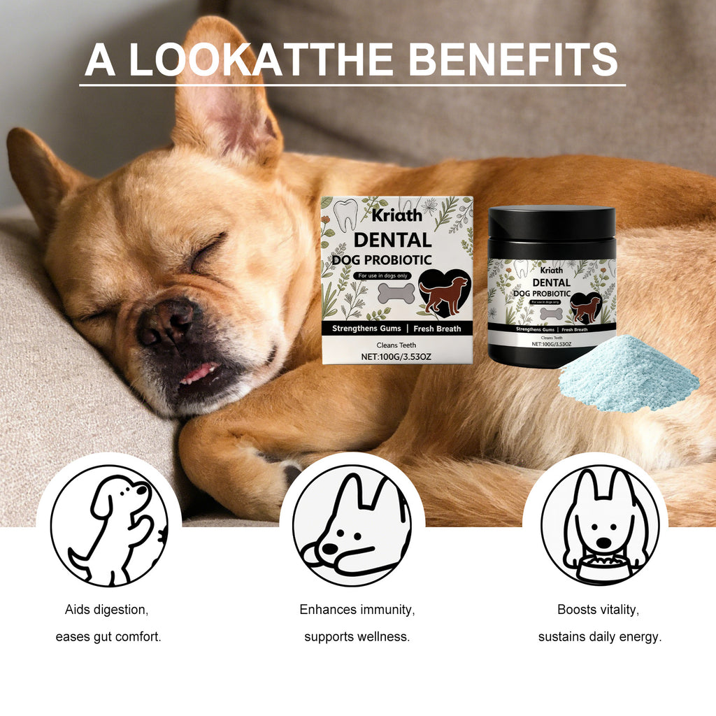 Supplément en poudre pour soins dentaires pour chiens