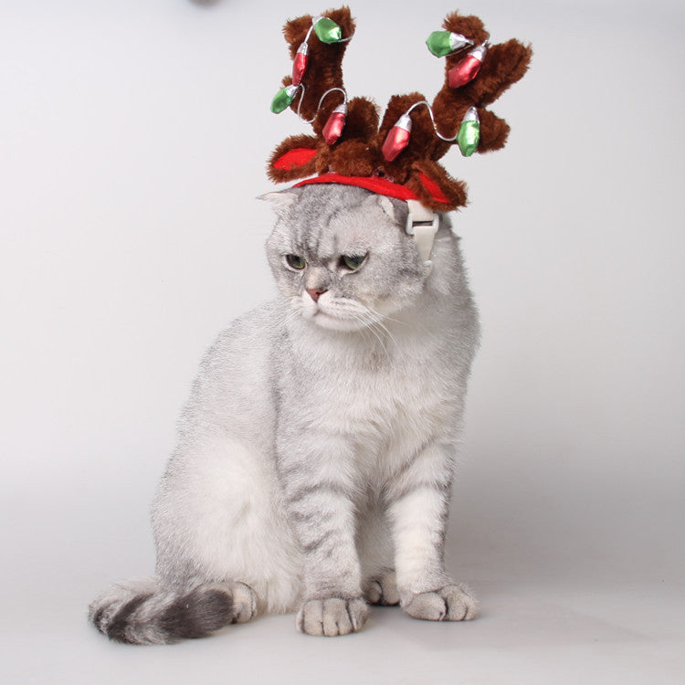 Accessoires pour animaux de compagnie Chapeau de chien de Noël