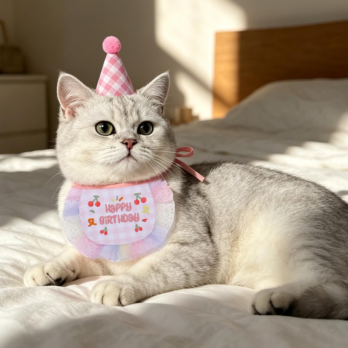 Costume de princesse de chat Robes de chat Tutu Kitte Ensemble d'écharpe de chapeau d'anniversaire Vêtements Dog Outfit for