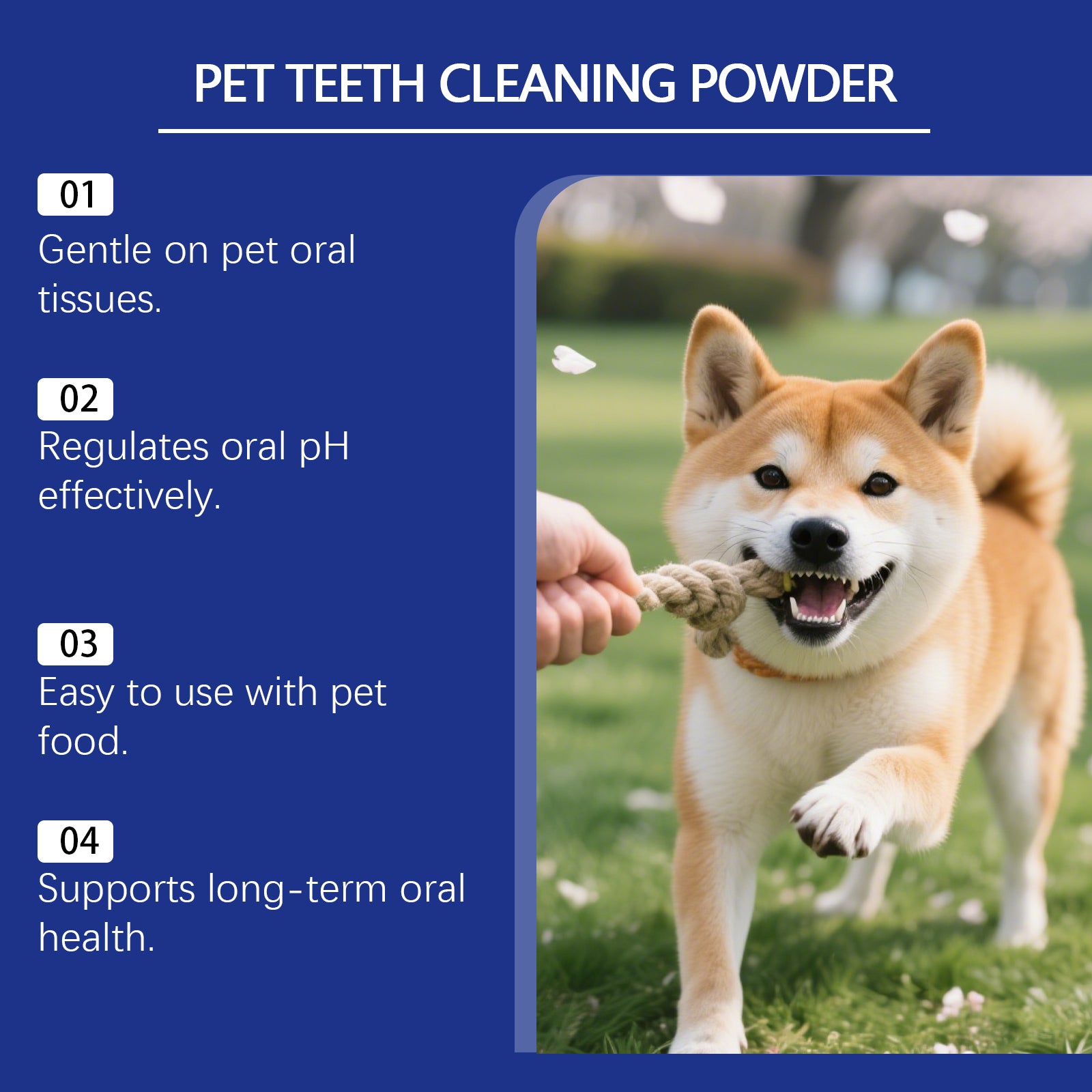 Poudre de nettoyage des dents des animaux de compagnie