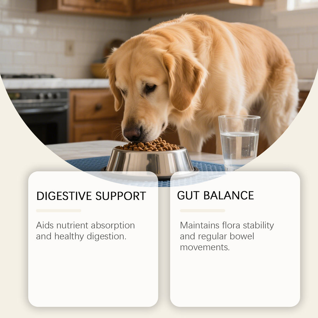 Formule douce pour les comprimés quotidiens pour animaux domestiques pour chiens