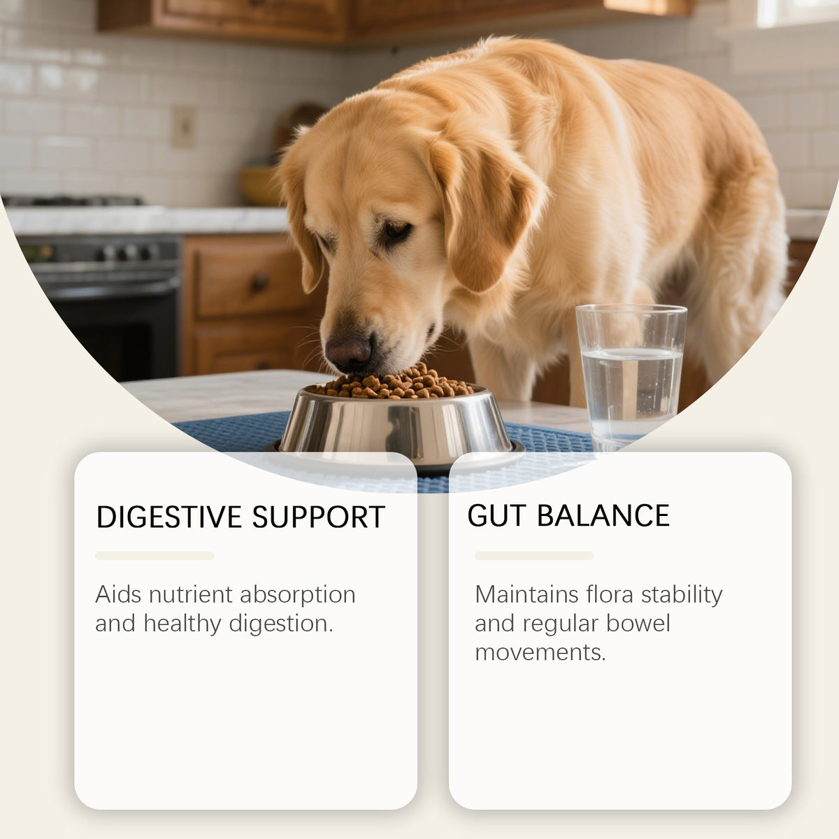 Formule douce pour les comprimés quotidiens pour animaux domestiques pour chiens