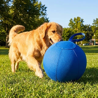 Outdoor Interactive Bite-résistant Pet Toy