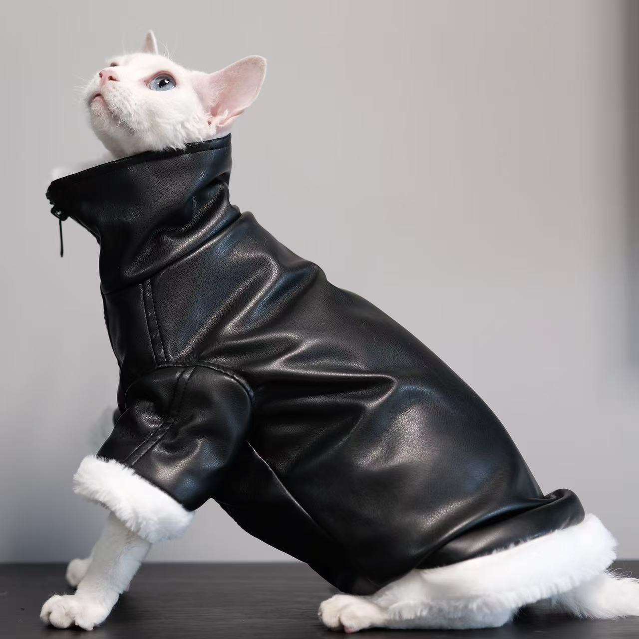 Manteau épais Sans fourrure Vêtements de chat Sphynx Cat Outfit Automnehiver Style