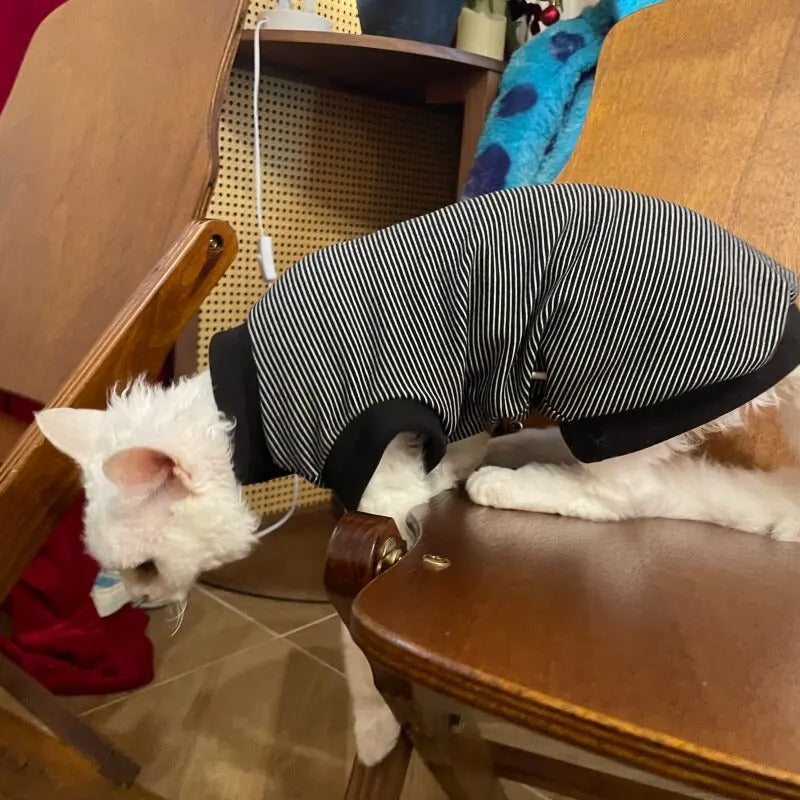 T-shirt Sphynx Cat Spring doux sans manches