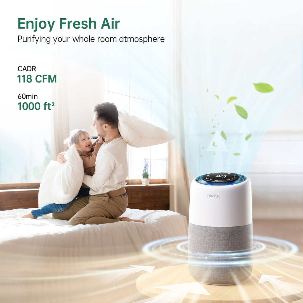 Air Purifer pour la maison Allergies et animaux de compagnie Hai Fumers dans la chambre Pet Ai Purifer Acte amélioré