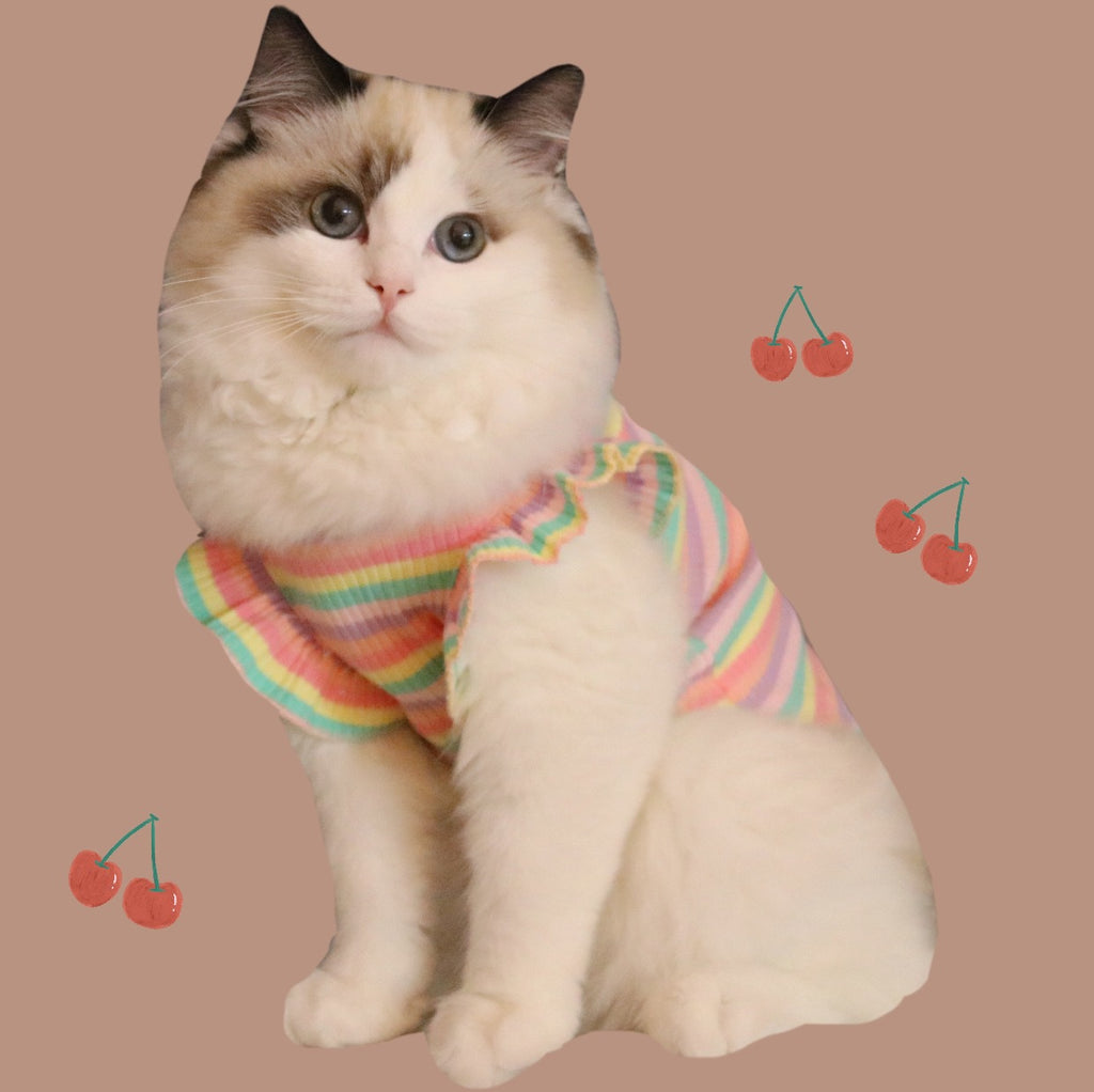 Costume de chat de chien d'été Petit coton respirant