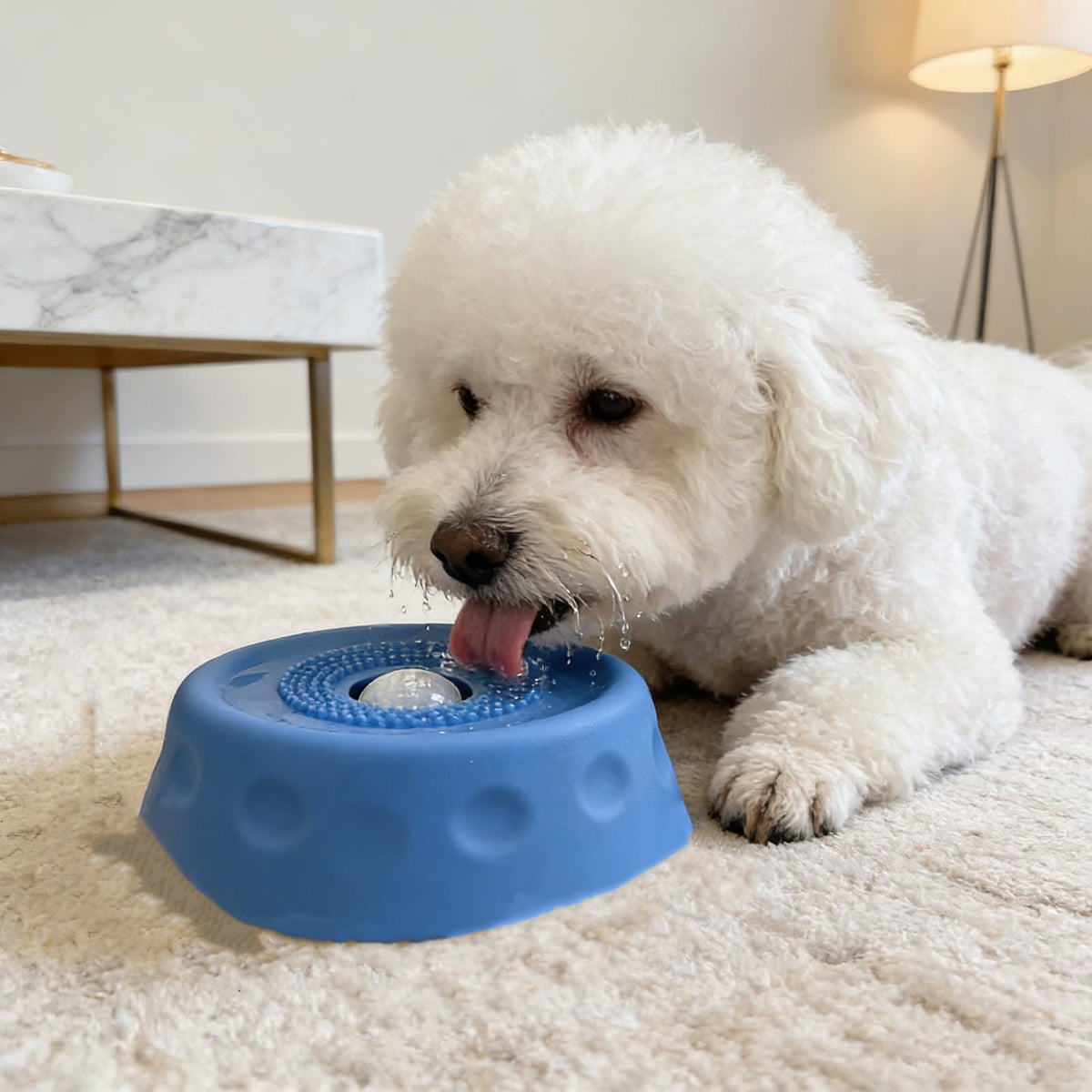 Dog stick with ball