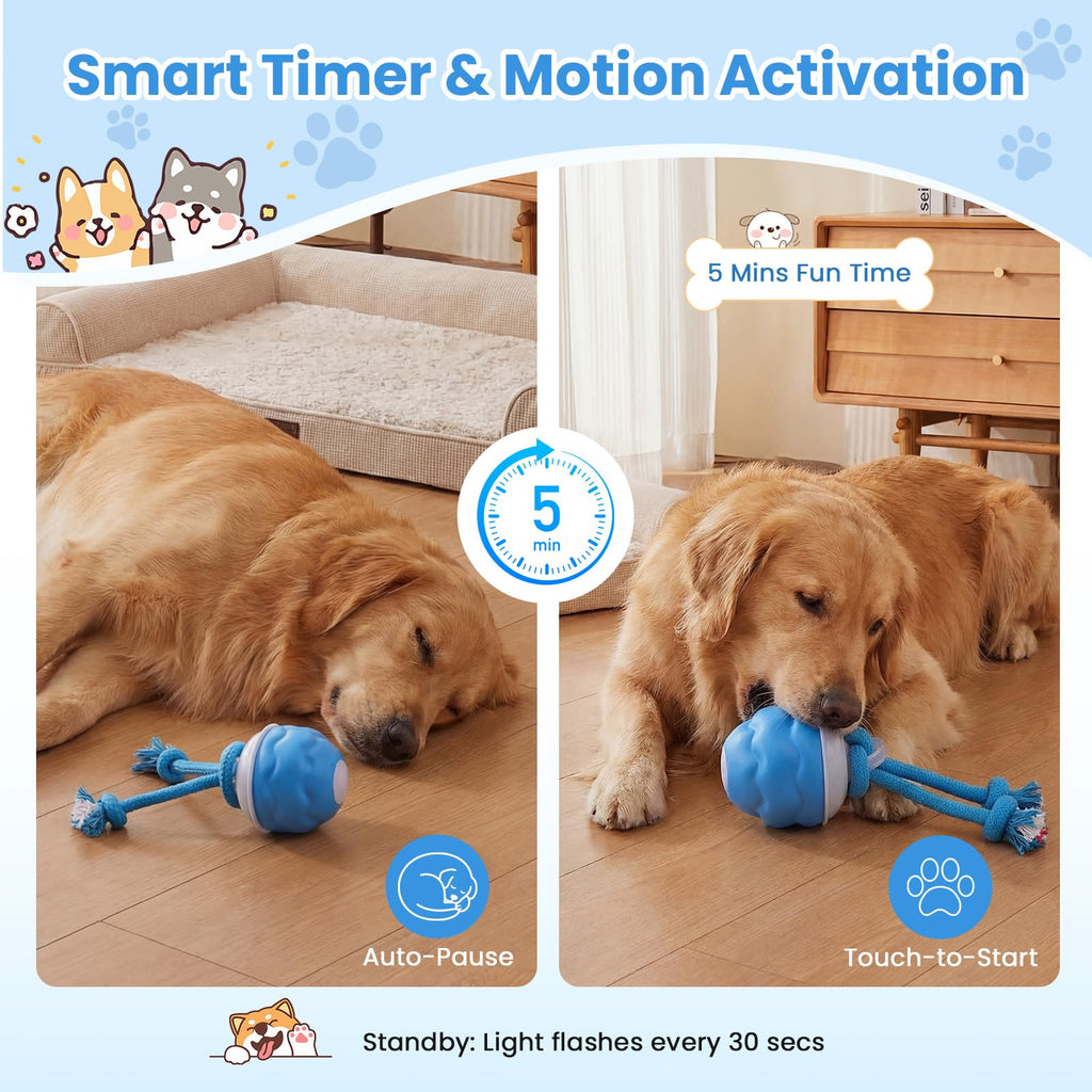 Jouets pour chiens, Jouets pour chiens interactifs, Balle pour chiens interactive automatique, 3 modes de mouvement activé D
