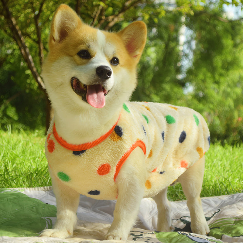Vêtements de chien Automne et hiver Veste rembourrée anti-dorteuse de taille moyenne