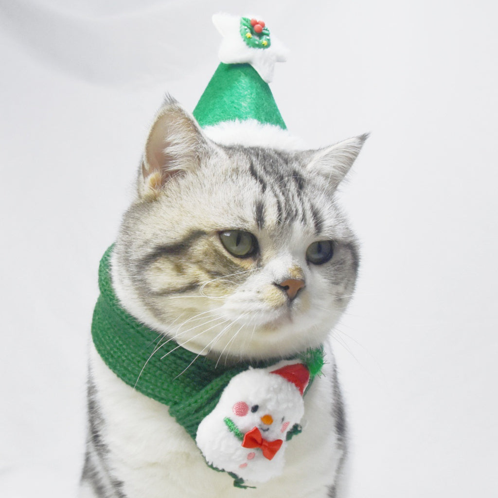 Écharpe tricotée de Noël et chapeau pour chiens et chats