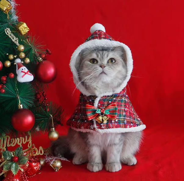 Animaux de compagnie Cloak Cat Dog fournitures hiver chaud Châl Cloak