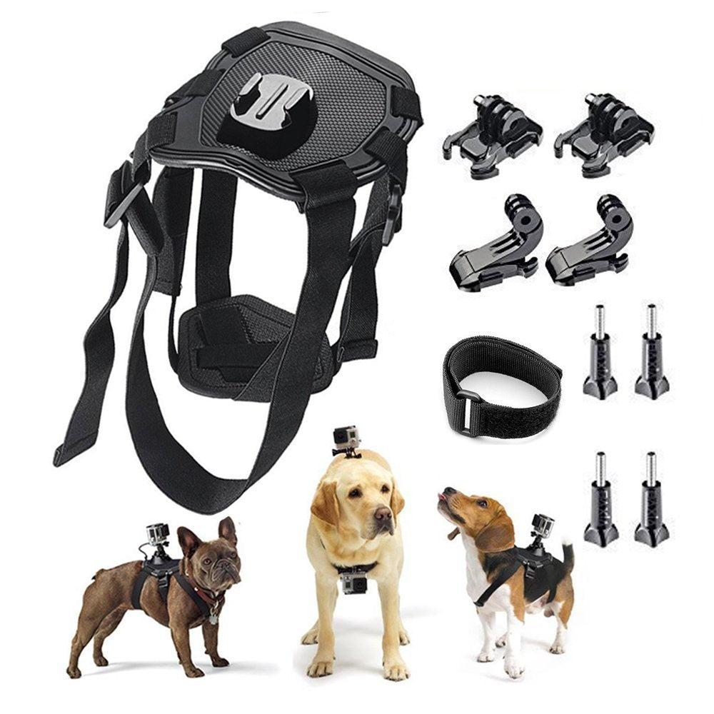 Harnais de chien Strap caméra accessoire pour dualuse dos sur poitrine