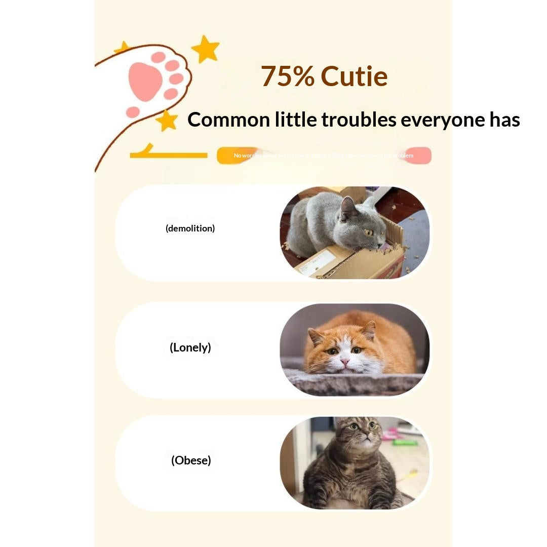 Jouet électrique interactif de baguette de chat papillon