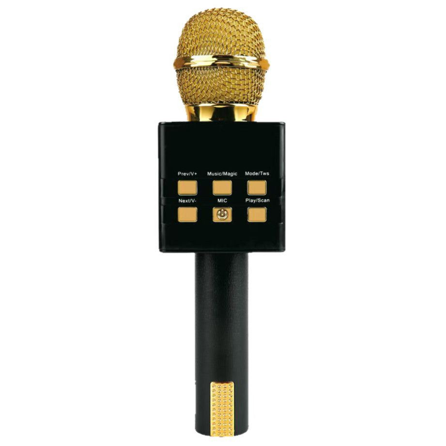 Système audio portatif tout-en-un sans fil Bluetooth Condenseur Microphone