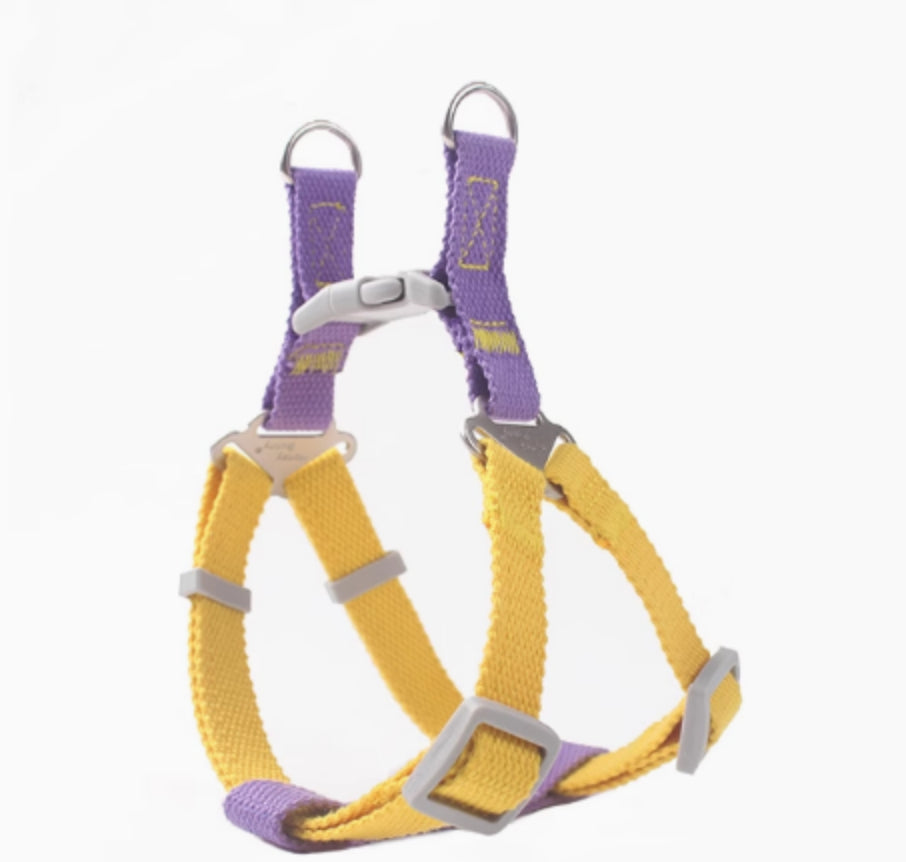 Contraste couleur Vest-style Pet's Chest-back Traction chien laisse