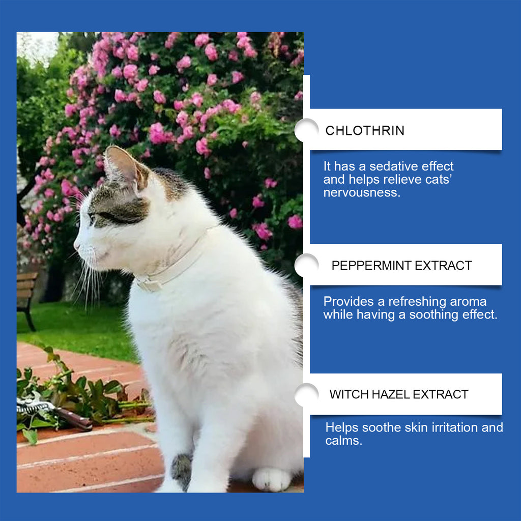 Combinaison pour diffuseur d'humeur chat
