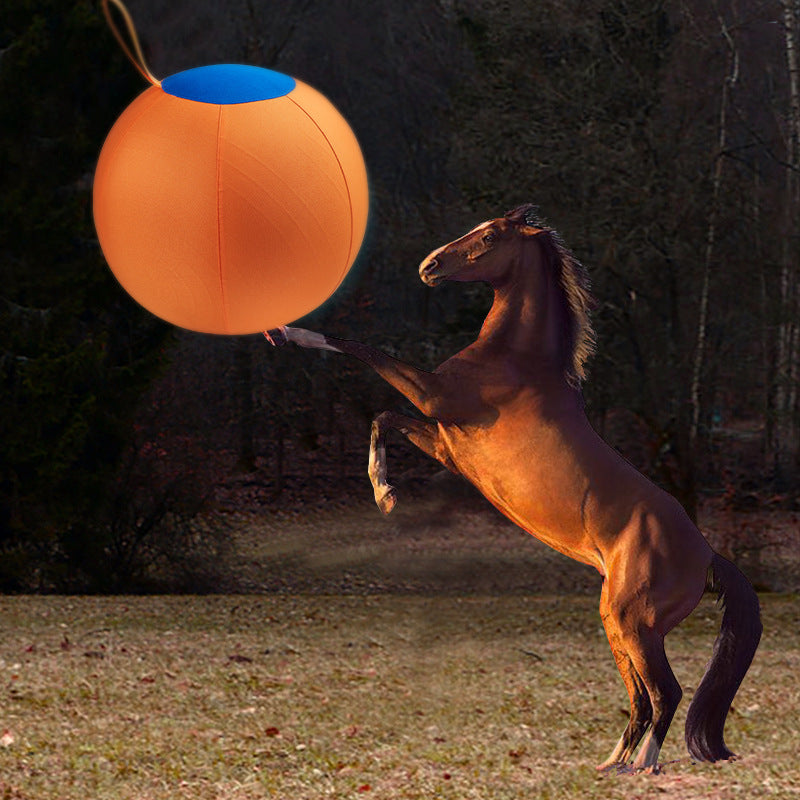 Jouet de boule de chien géant