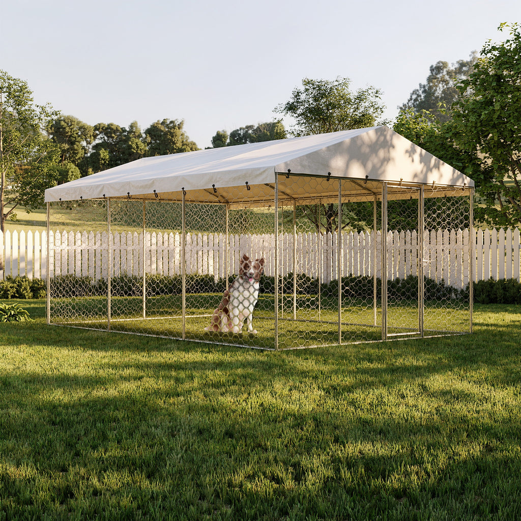 15x10 FT Grand Kennel de chien extérieur avec Canopy