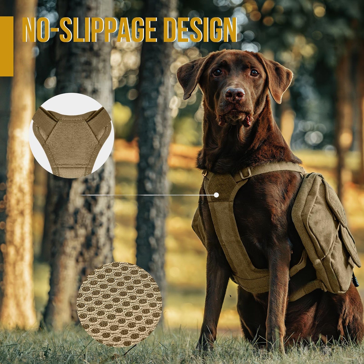 Sac à dos de randonnée adapté pour les chiens moyens à grands comme un porte-animaux de plein air