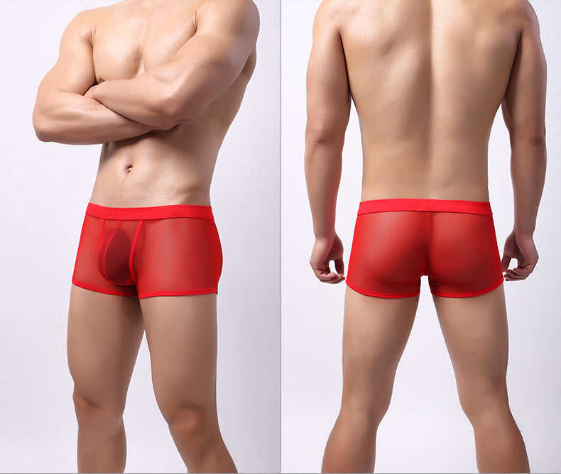 Sous-vêtements pour hommes Mesh Mesh Respirant Boxers Low Waist Transparent Boxers Youth Cool Short