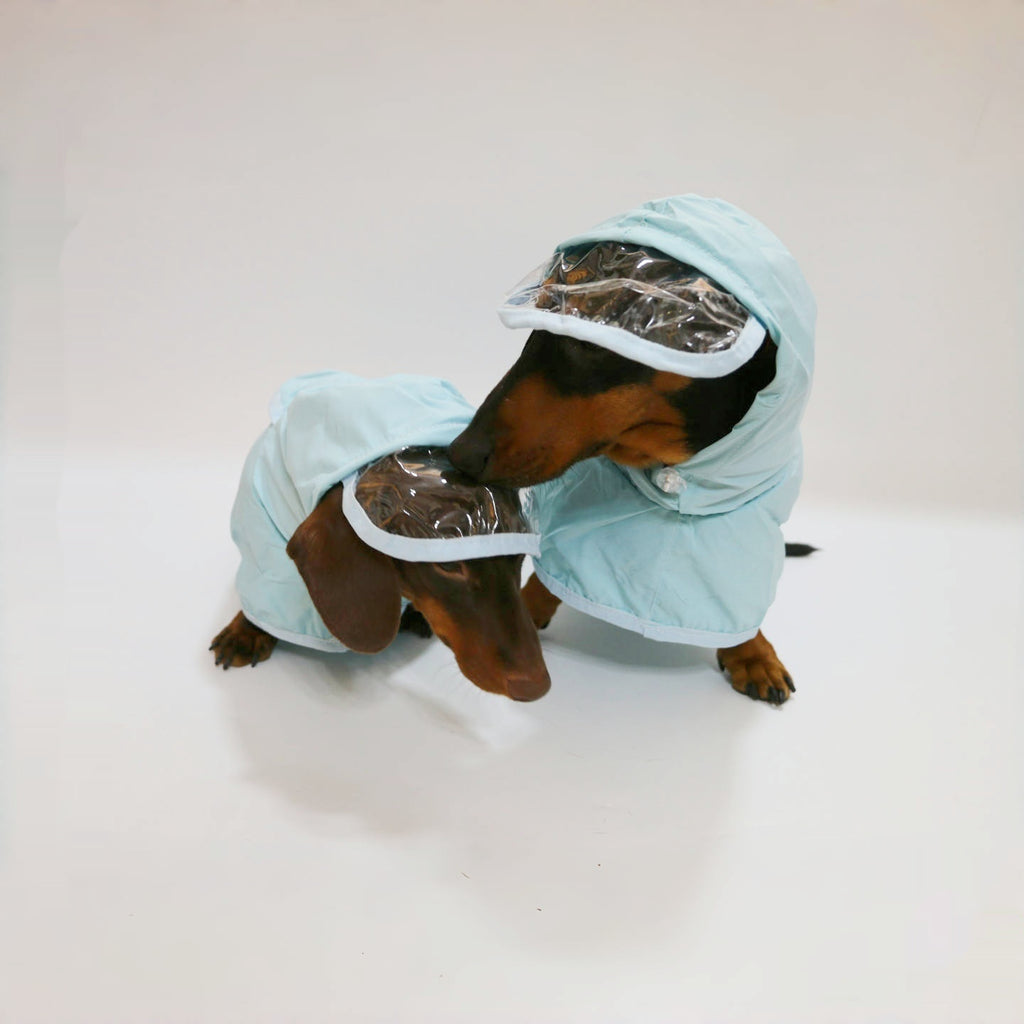 Poncho imperméable à capuchon pour chien