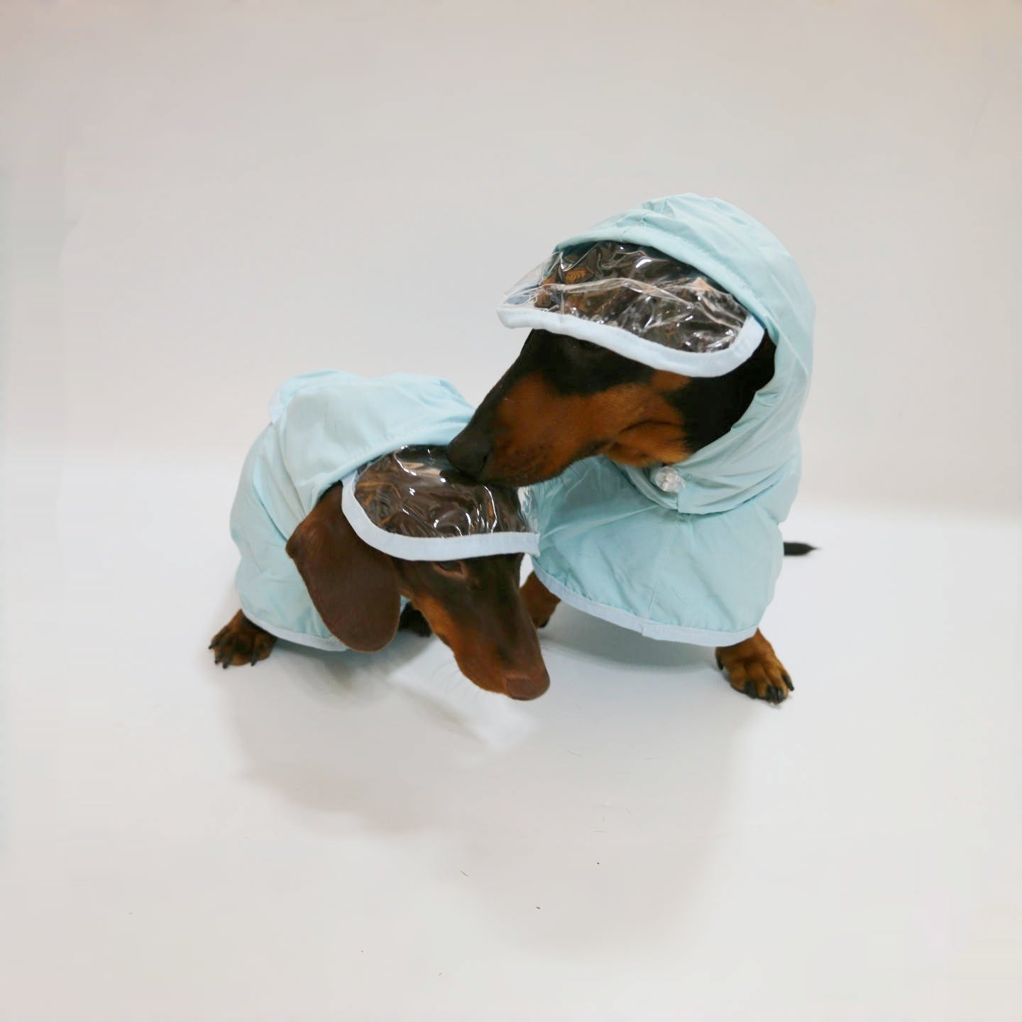 Poncho imperméable à capuchon pour chien