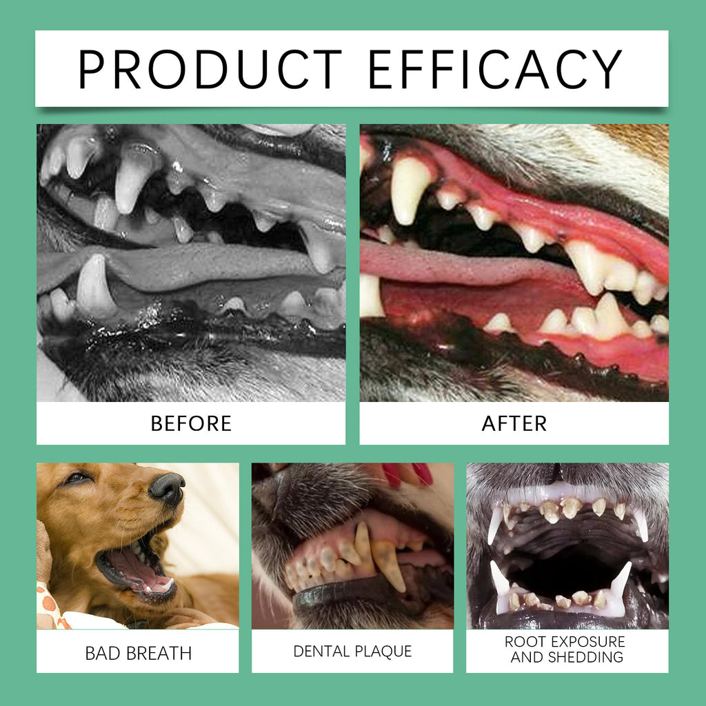 Poudre de nettoyage de dents de chien