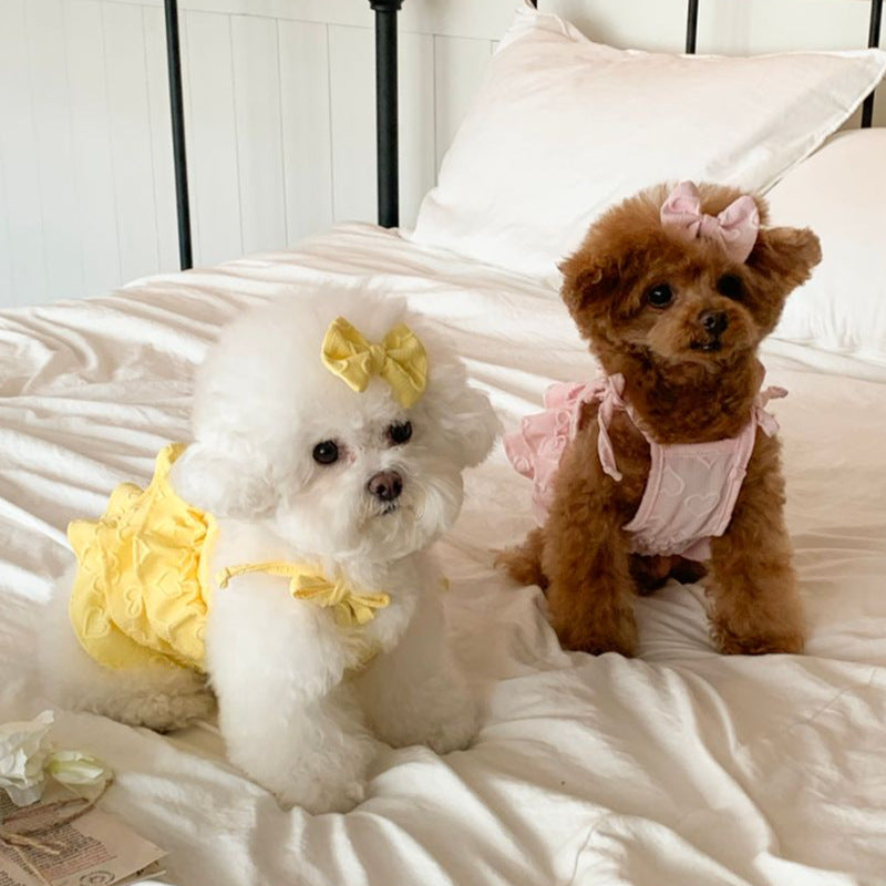 Robe de chien en forme de cœur printemps-été